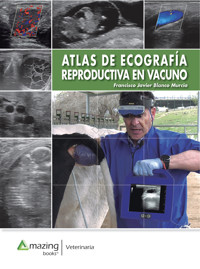 ATLAS DE ECOGRAFÍA REPRODUCTIVA EN VACUNO - Francisco Javier Blanco Murcia - ebook
