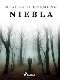 Niebla - Miguel de Unamuno - ebook