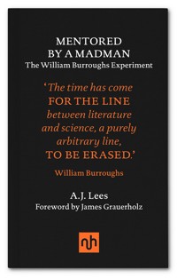 Mentored by a Madman - A.J. Lees - ebook