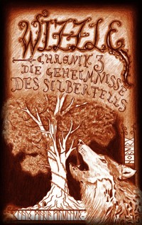 Die Geheimnisse des Silberfells - Klaus Maria Müller-Hoberg - ebook