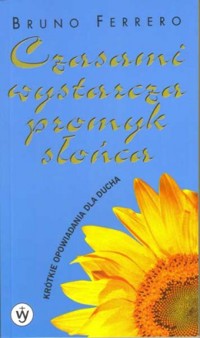 Czasami wystarcza promyk słońca - Ferrero Bruno - ebook