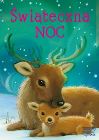 Świąteczna noc -  - książka