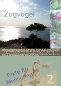 Zugvögel - Sabú Loewe - ebook