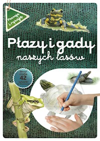 Płazy i gady naszych lasów - Kopiec-Sekieta Katarzyna, Maternicka Grazyna - książka