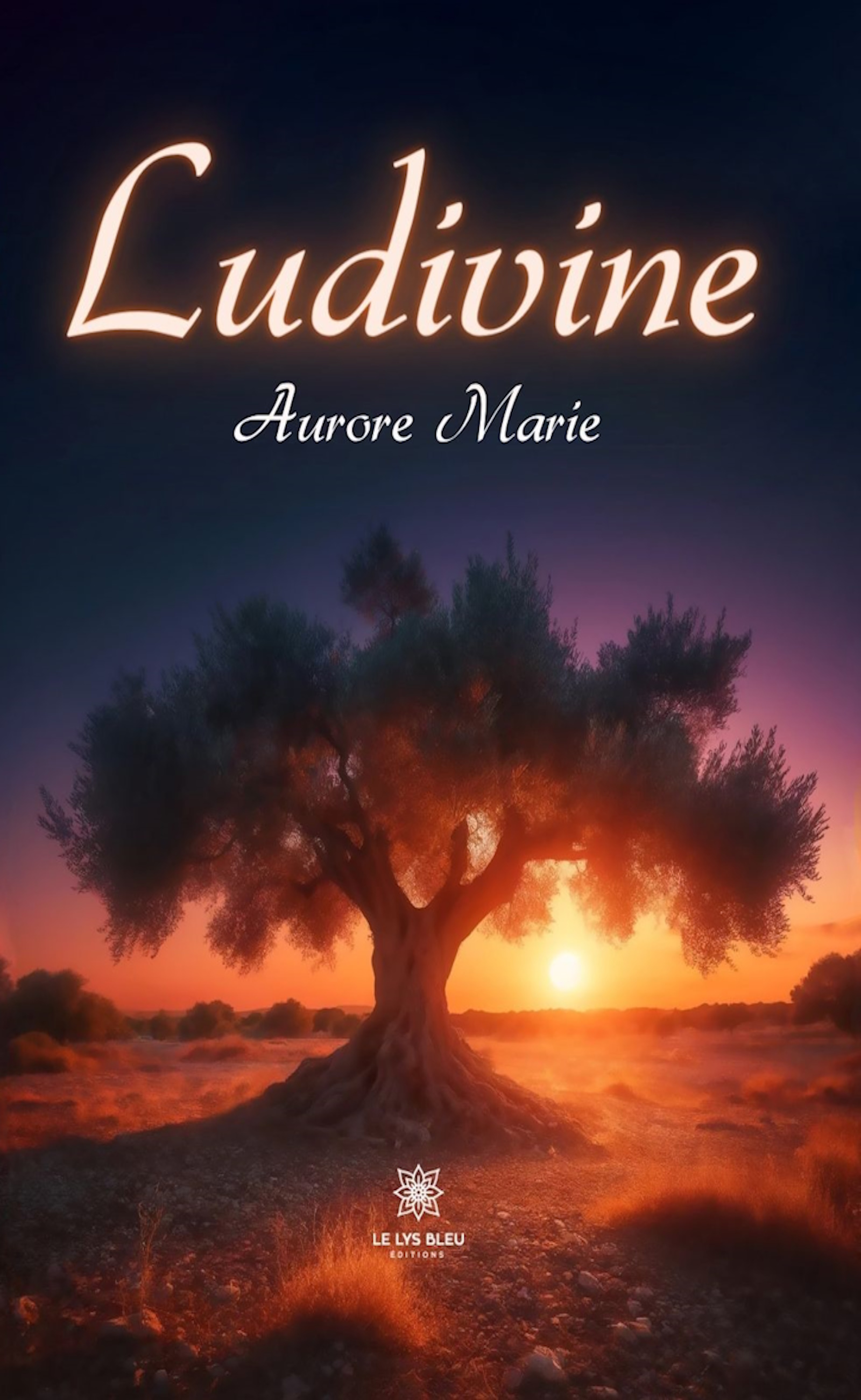 Ludivine - Aurore Marie - ebook