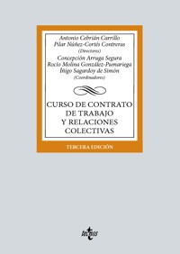 Curso de contrato de trabajo y relaciones colectivas - Antonio Cebrián Carrillo - ebook