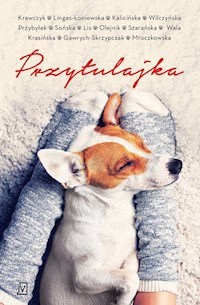 Przytulajka - pocket - Agnieszka Krawczyk, Agnieszka Lingas-Łoniewska, Małgorzata Kalicińska, Karolina Wilczyńska, Agata Pr - książka