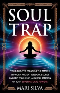 Soul Trap - Mari Silva - ebook