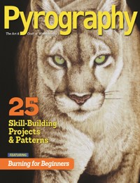 Pyrography Special Edition -  - ebook