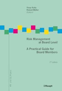 Risk Management at Board Level -  - ebook