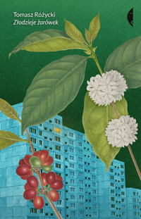 Złodzieje żarówek - Tomasz Różycki - ebook + książka