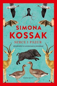 Serce i pazur - Kossak Simona - książka