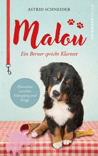 Malou - ein Berner spricht Klartext - Astrid Schneider - ebook