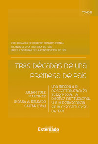 Tres décadas de una promesa de país - Julían Tole Martínez - ebook