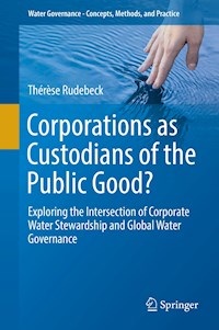 Corporations as Custodians of the Public Good? - Thérèse Rudebeck - ebook