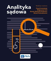 Analityka sądowa - Małgorzata Król, Michał Woźniakiewicz, Paweł Kościelniak, Renata Wietecha-Posłuszny - książka