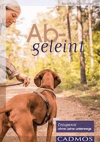 Abgeleint - Ines Scheuer-Dinger - ebook