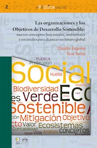 Las organizaciones y los objetivos de desarrollo sostenible - Claudia Eugenia Toca Torres - ebook