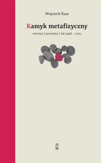 Kamyk metafizyczny - Wojciech Kass - książka
