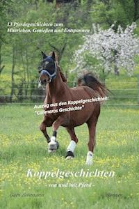 Koppelgeschichten - von und mit Pferd; Calimeros Geschichte - Gabi Lohmann - ebook