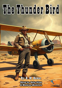 The Thunder Bird - B.M. Bower - ebook