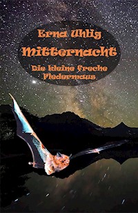 Mitternacht - Erna Uhlig - ebook