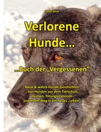 Verlorene Hunde - Stefan Klink - ebook