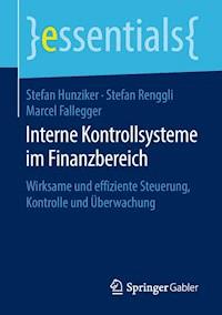 Interne Kontrollsysteme im Finanzbereich - Stefan Hunziker - ebook