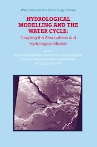 Hydrological Modelling and the Water Cycle -  - ebook