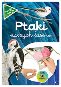 Ptaki naszych lasów Część 1 - Kopiec-Sekieta Katarzyna, Maternicka Grazyna - książka