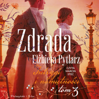 Zdrada - Pytlarz Elżbieta - ebook + audiobook + książka