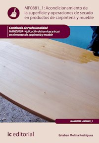 Acondicionamiento de la superficie y operaciones de secado en productos de carpintería y mueble. MAMD0109 - Esteban Molina Rodríguez - ebook