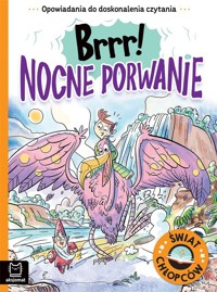 Świat chłopców. Brrr! Nocne porwanie - Agata Giełczyńska-Jonik - książka