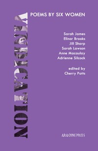 Vindication -  - ebook