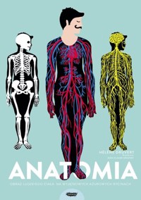 Anatomia. Obraz ludzkiego ciała na wyjątkowych ażurowych rycinach - Helene Druvert - książka