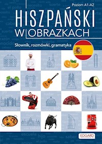 Hiszpański w obrazkach - Joanna Ostrowska - książka