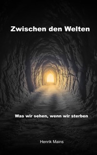 Zwischen den Welten - Henrik Mains - ebook