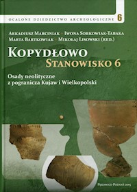 Kopydłowo Stanowisko 6 -  - książka