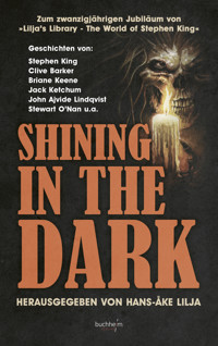 SHINING IN THE DARK - Stephen King - ebook