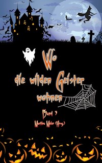 Wo die wilden Geister wohnen Band 3 - Martina Meier - ebook