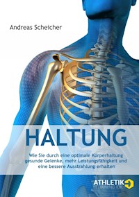 Haltung - Andreas Scheicher - ebook