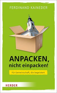 Anpacken, nicht einpacken! - Ferdinand Kaineder - ebook