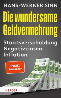 Die wundersame Geldvermehrung - Hans-Werner Sinn - ebook