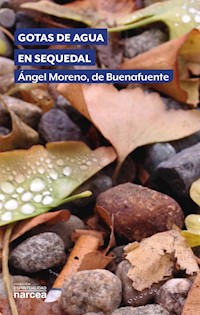 Gotas de agua en sequedal - Ángel Moreno de Buenafuente - ebook