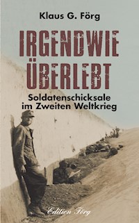 Irgendwie überlebt - Klaus G. Förg - ebook