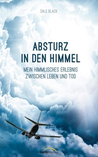 Absturz in den Himmel - Dale Black - ebook