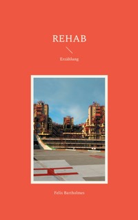 Rehab - Felix Bartholmes - ebook