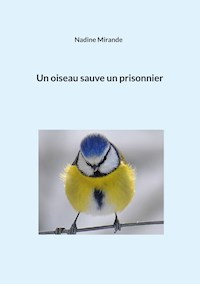 Un oiseau sauve un prisonnier - Nadine Mirande - ebook