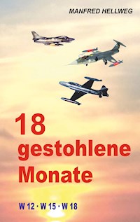 18 gestohlene Monate - Manfred Hellweg - ebook