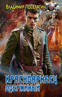 Красноармеец. Одержимый - Владимир Поселягин - ebook